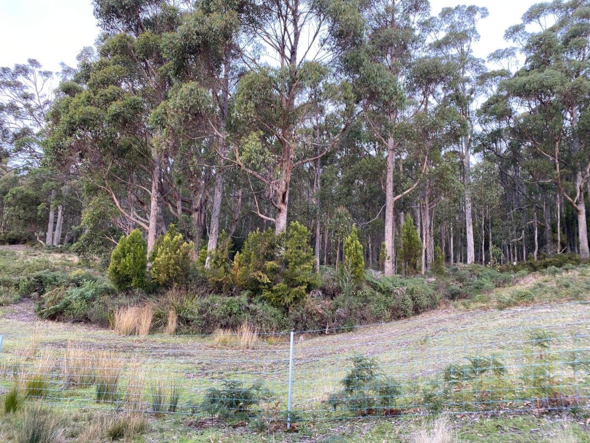 Aruma Cottage Bruny Island Alonnah Exterior photo